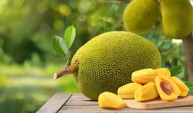 Jackfruit 